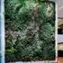 Multi Green