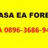 Jasa EA Forex