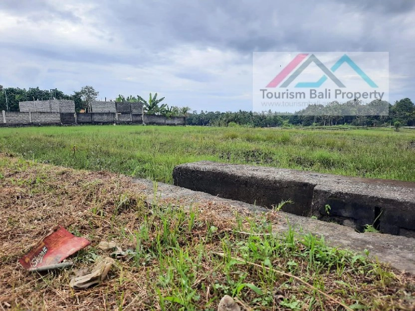 MURAH/ tanah luas 12,505 m2 di daerah cemagi, Canggu Badung Bali 