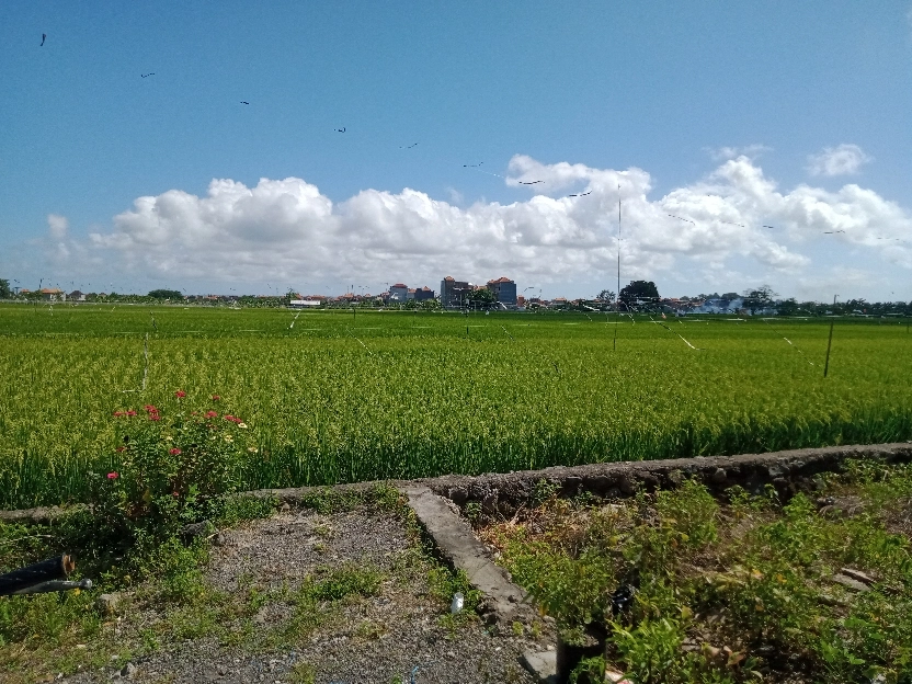 jual rumah indent di kawasan pulau Moyo,dukuh sari , pedungan Denpasar Selatan 