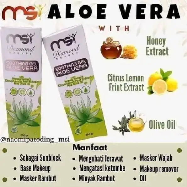 ALOE VERA MSI