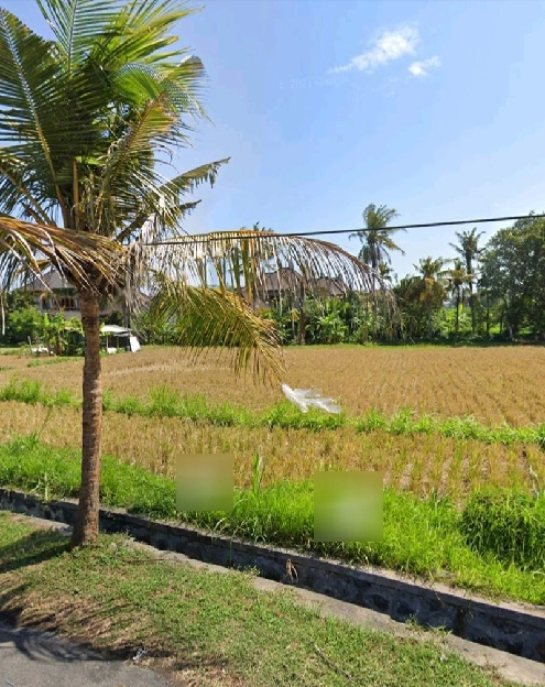 jual tanah pinggir jalan luas 2790m2 di kawasan pantai keramas blahbatuh Sukawati Gianyar bali