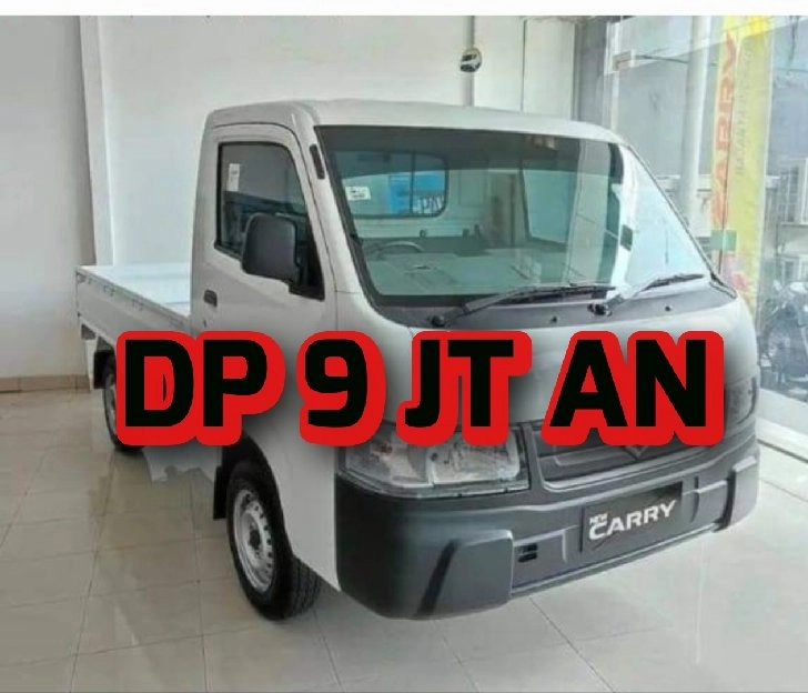 suzuki carry pick up