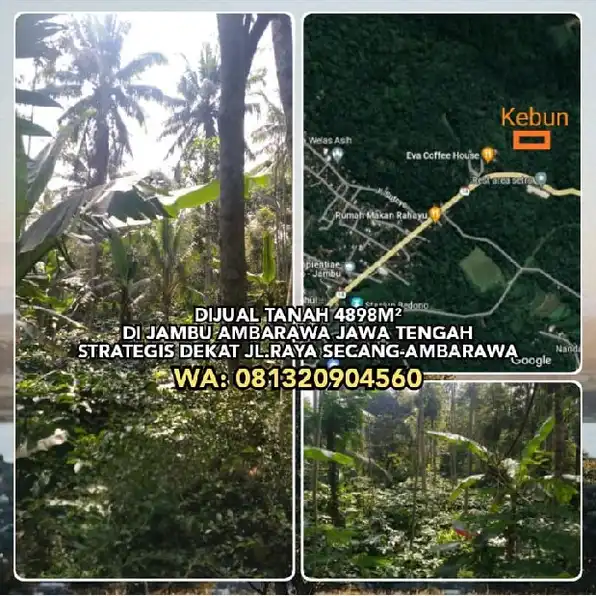 DIJUAL TANAH 4898M² DI JAMBU AMBARAWA JAWA TENGAH. STRATEGIS DEKAT JL.RAYA SECANG-AMBARAWA