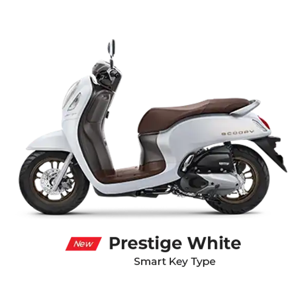 Honda Scoopy Prestige & Stylish