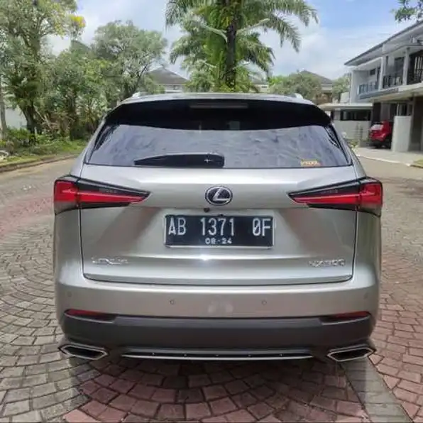 Lexus NX300 2.0 F-Sport Bensin-At 2019