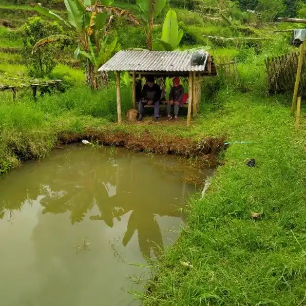 Tanah Murah Di Jual Cepat Sudah SHM