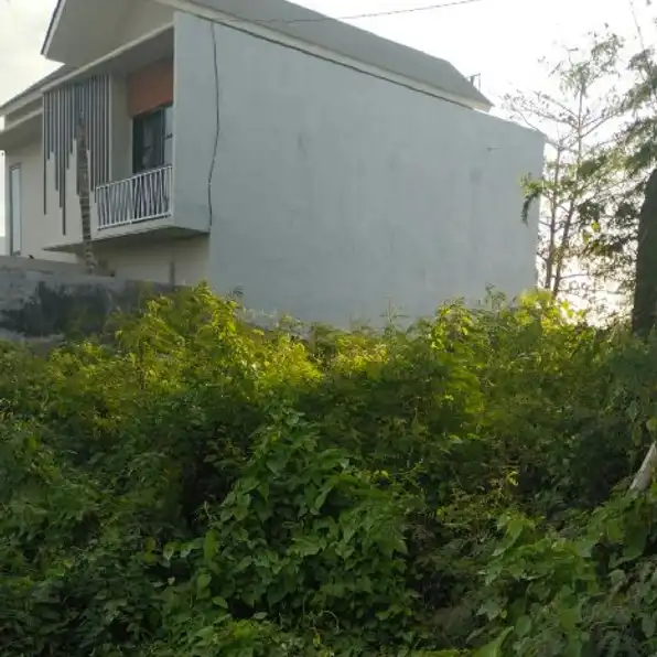 Dijual 3,13 are, Jl. Gandamayu Pemaron Raya Munggu Kapal Mengwi