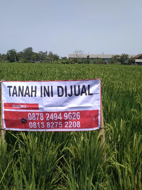 di jual tanah  193 tumbak sertipikat