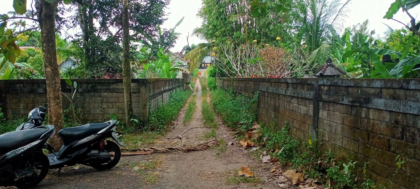 lahan kebun luas 1900m²