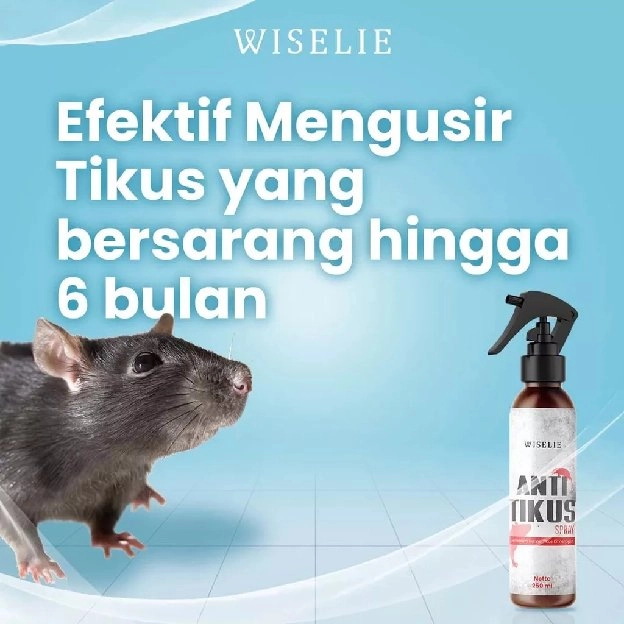 Semprotan Pengusir Tikus Alami Obat Pengusir Anti Tikus Ampuh