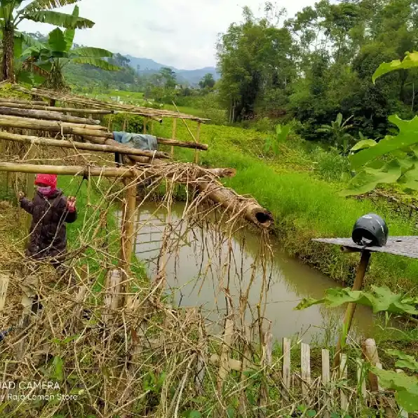 Tanah Murah Di Jual Cepat Sudah SHM