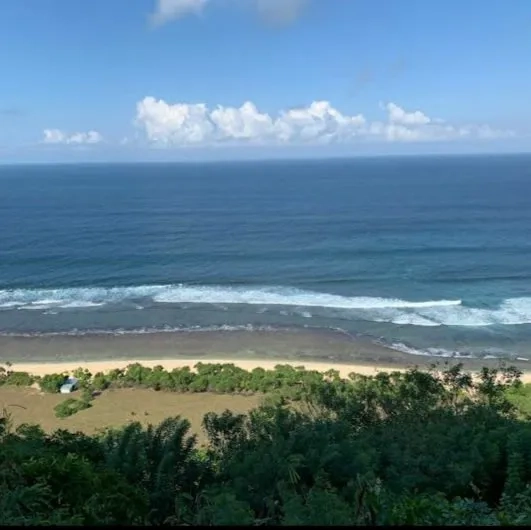 Dijual 2,97 Ha. LOSS TEBING, Jl. Batu Lesung Nyang Nyang Beach Pecatu Kuta Selatan