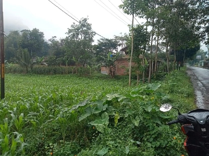 Dijual tanah h Rahmat kp sindang palay 