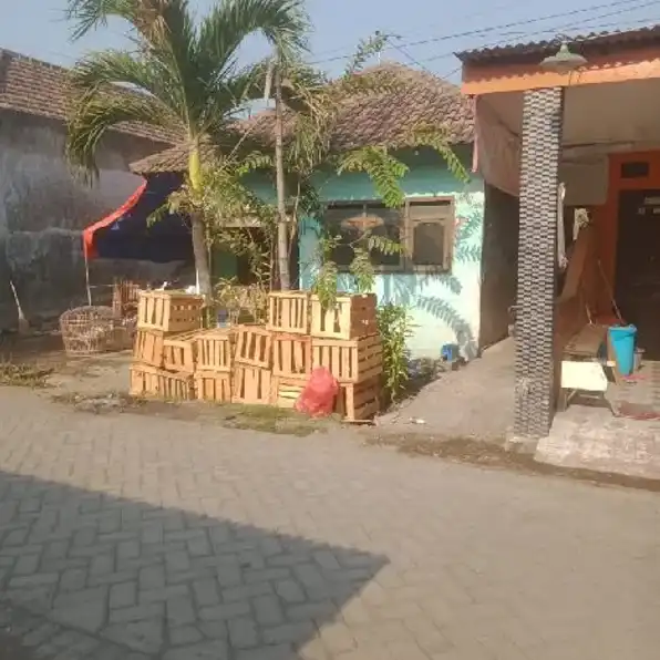 Rumah Kampung Hitung Tanah Candipari Porong Sidoarjo SHM 215jt Cash