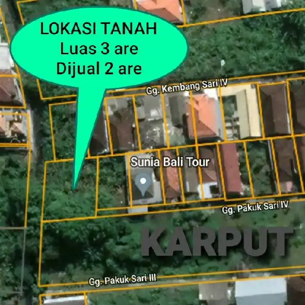 Dijual 2 are, Jl. Raya Sesetan Gg. Pakuk Sari Denpasar Selatan