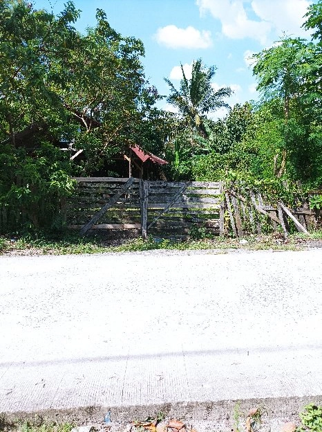 tanah murah di Branti