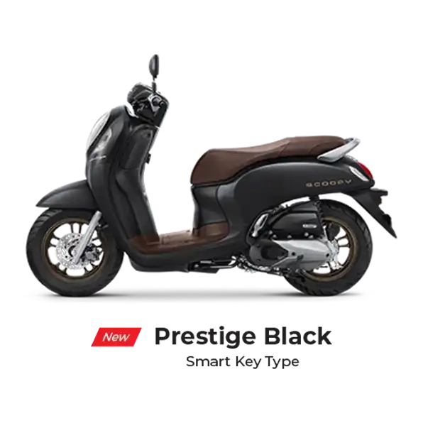 Honda Scoopy Prestige & Stylish