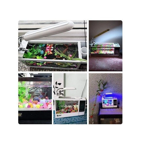 Desktop Fish Tank Akuarium Ikan Hias Aquarium USB Large TG-03L TG03L Cocok Buat Guppy