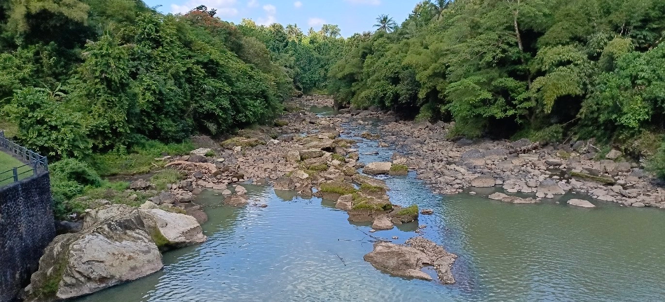 tanah kebun los sungai view abadi di bali