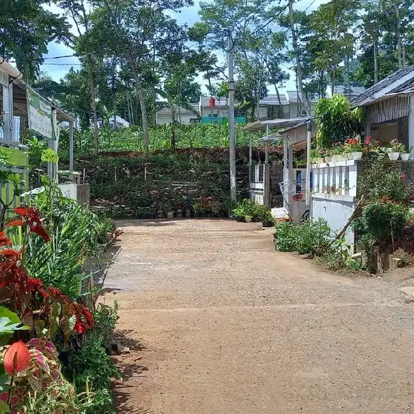 Rumah Subsidi Tanjungsari Sumedang | Bukit Cinanjung Permai | All in 14 Jutaan Cicilan 900 ribuan