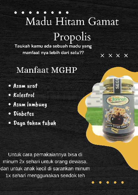 Madu hitam gamat propolis 