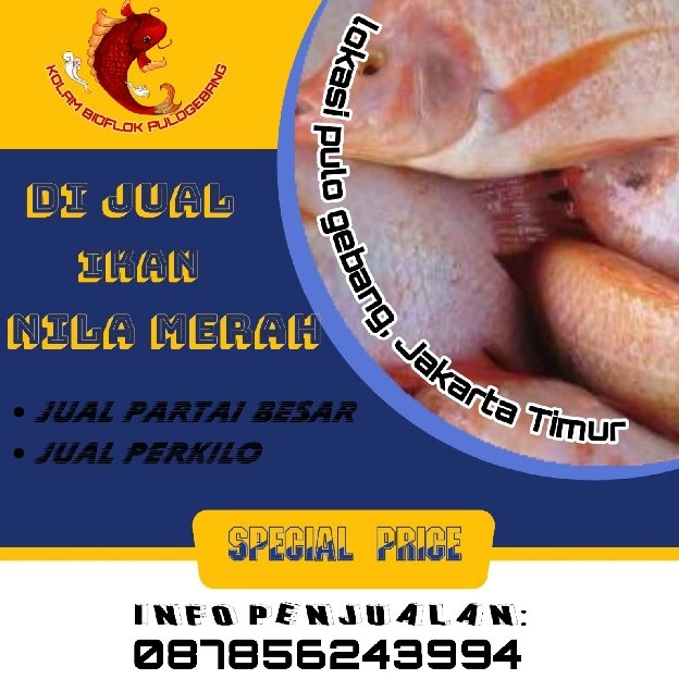 IKAN NILA MERAH