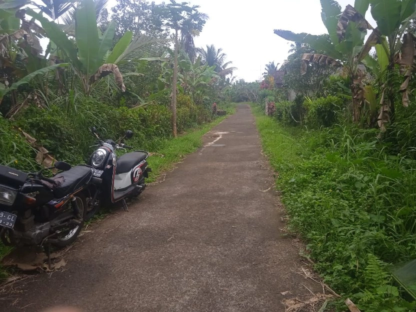 tanah kebun buah isi mata air di tabanan bali