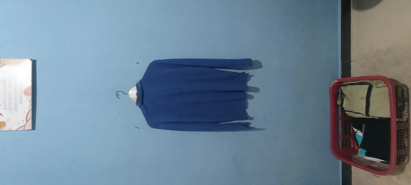 Lacoste blue longsleeve