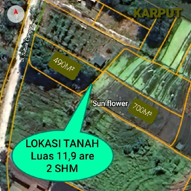 Dijual 11,9 are, Jl. Subak Canggu Batu Bolong Kuta Utara