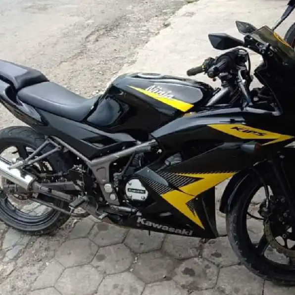 Ninja RR 2014