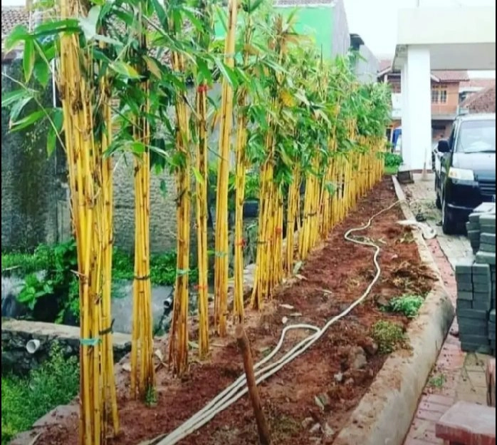 jasa pembuatan berbagai jenis taman