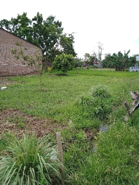 DI JUAL SEBIDANG TANAH ukuran 148 m² tanpa perantara