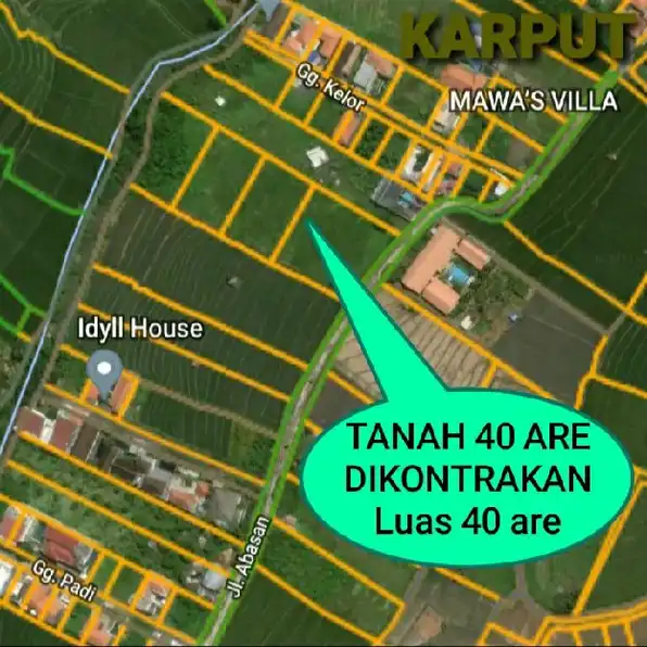 Dikontrakan 4,45 are, Jl. Raya Canggu Timur BAB GUL Men Lari Kuta Utara