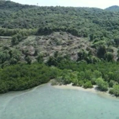 Dijual 4,788 Ha. Jl. Poros Utara LOSS PANTAI Tanjung Boleng Labuhan Said Manggarai Barat NTT