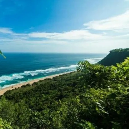 Dijual 2,97 Ha. LOSS TEBING, Jl. Batu Lesung Nyang Nyang Beach Pecatu Kuta Selatan