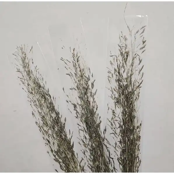 bunga kering dried flower dry flower wildery grass (kimkim mini)