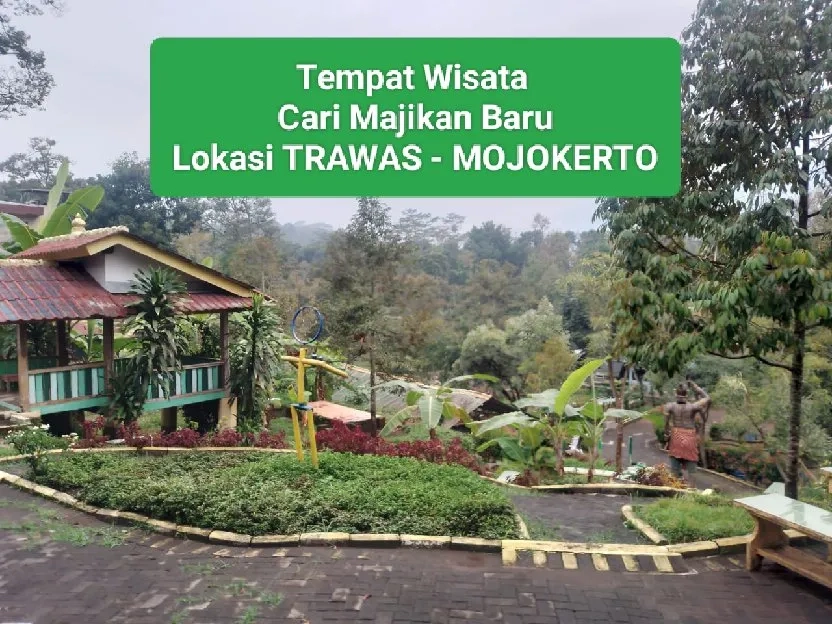 Dijual Tempat Wisata Trawas Mojokerto SHM Per/m 600rb an LT 12.170m Hrga 7,5M