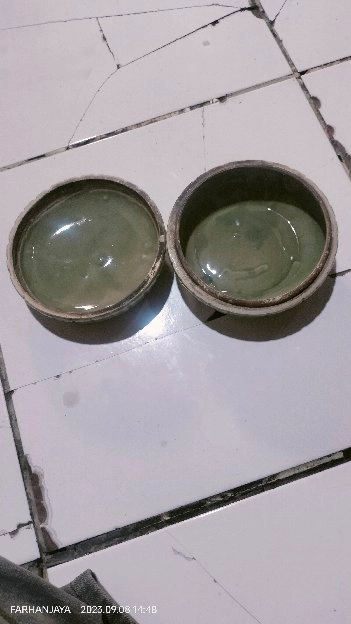 celadon jual cepat 