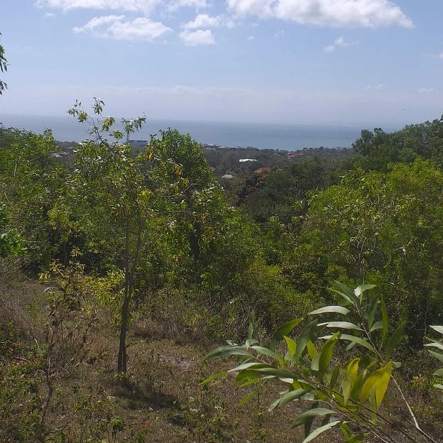 Dijual 1,55 Ha. FULL VIEW, Jl. Labuansait Puncak Wisesa Pantai Bingin Pecatu