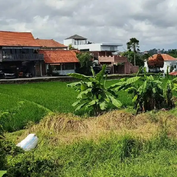 Dijual 1,35 are & 2 are, Jl. Pantai BATU BOLONG Canggu Kuta Utara