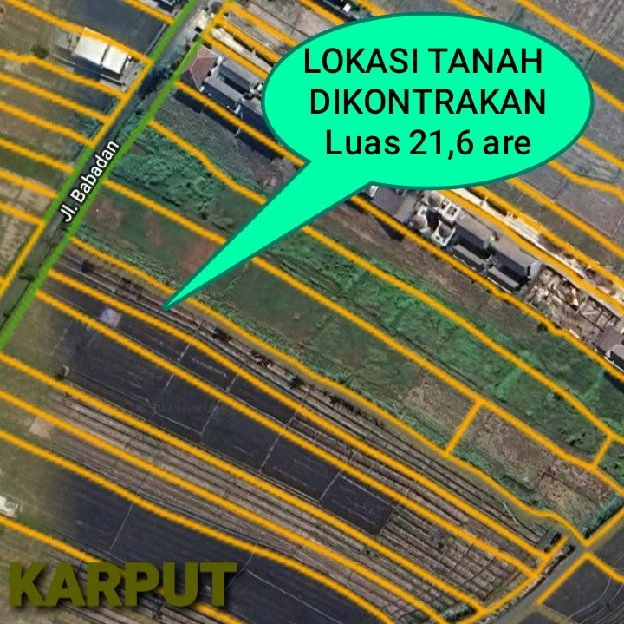 Dikontrakan 21,6 are, Jl. Babadan Pantai Lima Munggu Pererenan Mengwi