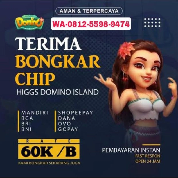 khusus terima bongkar chip higgs domino island bongkaran koin