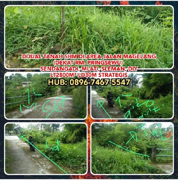 TANAH DIJUAL: JUAL MURAH TANAH SHM DI AREA JALAN MAGELANG (DEKAT RM. PRINGSEWU) MLATI, SLEMAN, DIY