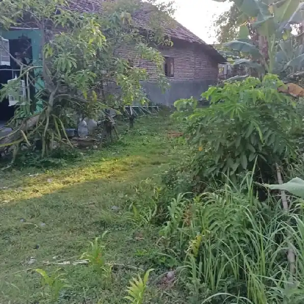 Murah Bosqq Tanah Siap Bangun Sidodadi Candi SDA Kota Cocok Buat Kos'an Mobil Masuk 