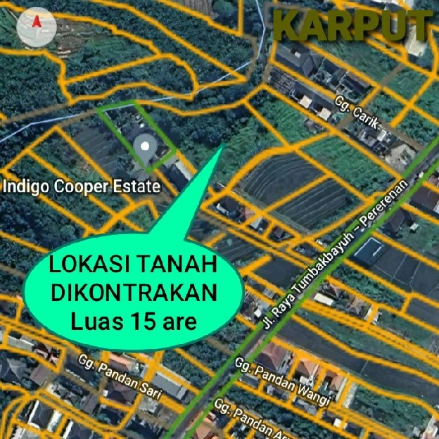 Dikontrakan 15 are, Jl. Tumbak Bayuh Pererenan BUDUK Raya Canggu Mengwi