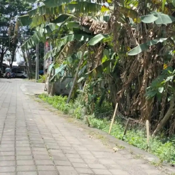 Dikontrakan 4,45 are, Jl. Raya Canggu Timur BAB GUL Men Lari Kuta Utara