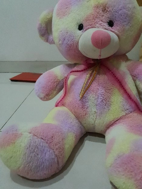 Boneka Teddy bear Rainbow