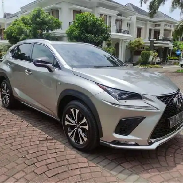 Lexus NX300 2.0 F-Sport Bensin-At 2019