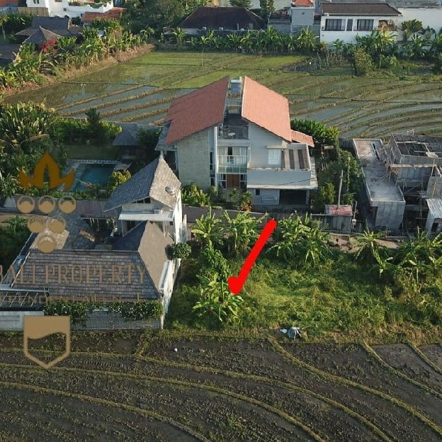 Dijual 2,63 are, Jl. Padang Linjong Batu Mejan Canggu Kuta Utara